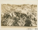 Image of Nesting cliffs of Kittiwake